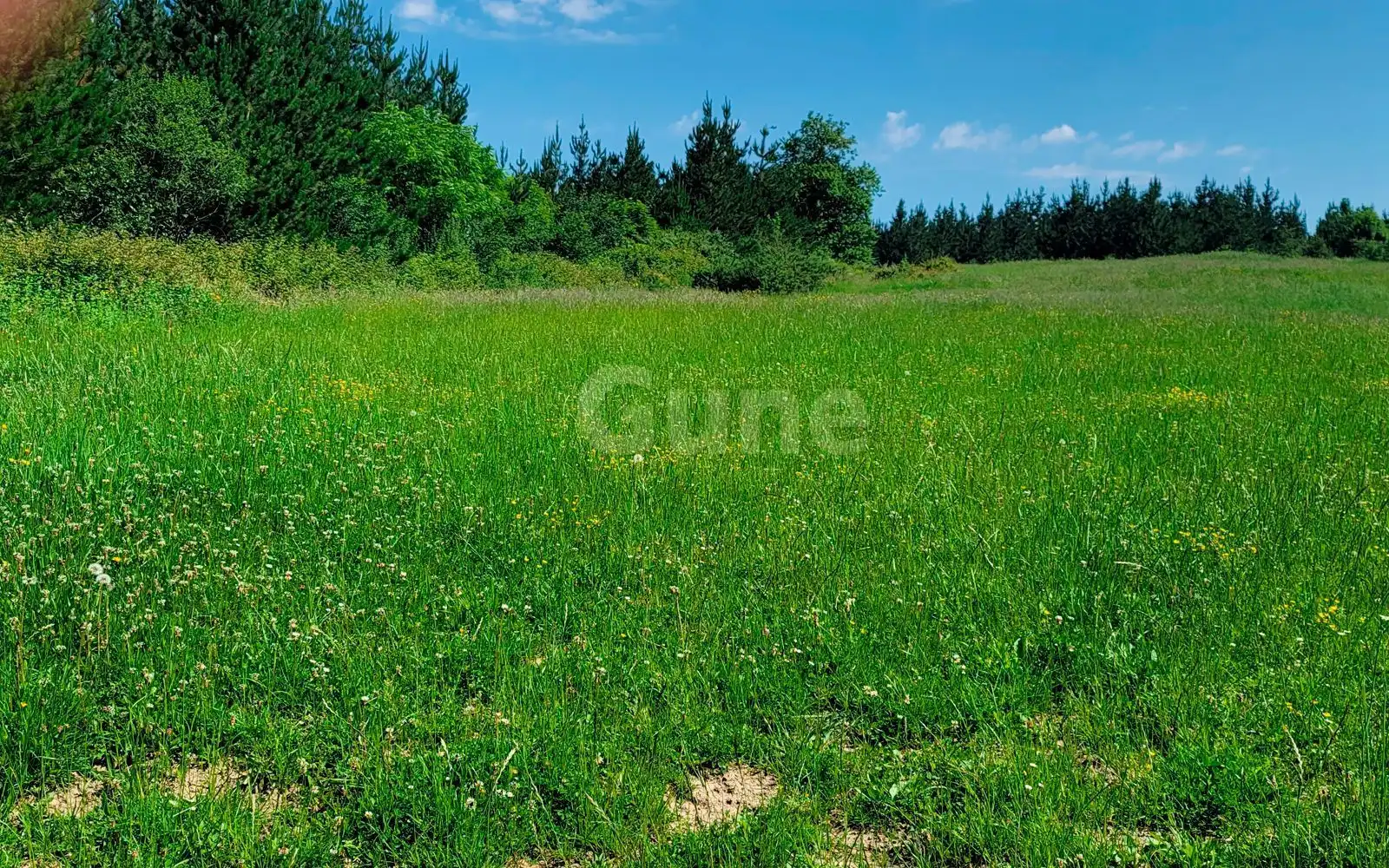 Country homes for sale in Idiazabal