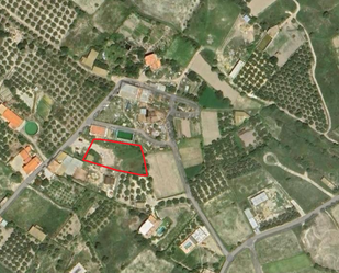 Land for sale in Turre