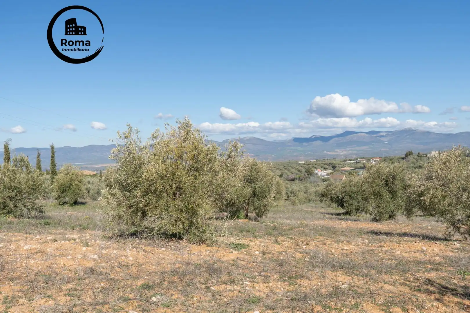Terreni e lotti in vendita a Cogollos de la Vega, imagen 14