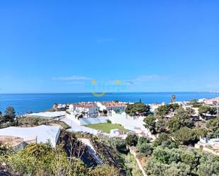 Vista exterior de Finca rústica en venda en Algarrobo