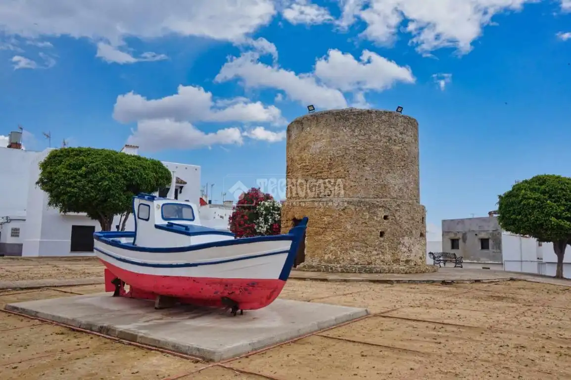 Rural land for sale in Conil, imagen 13
