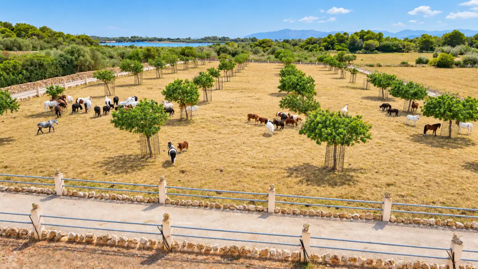 Reihenhaus mit Pool zur Miete in Santa Margalida - Carretera Santa Margalida, imagen 32