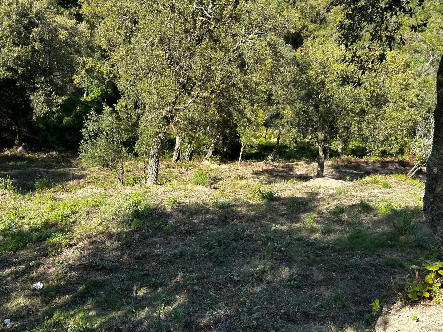 Wohnbaugrundstück zum Verkauf in Lloret Residencial - Montlloret, imagen 6