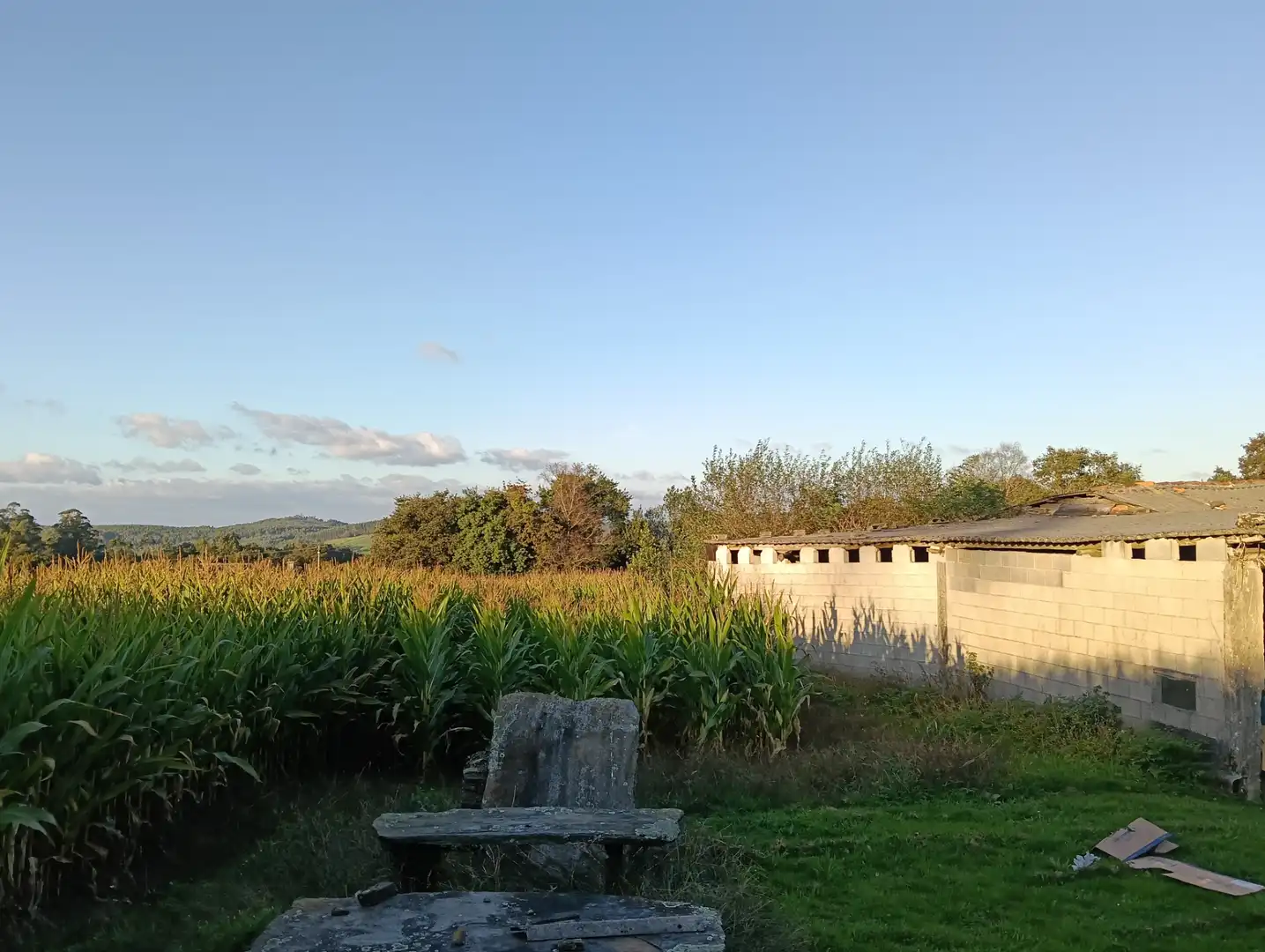 Maison avec jardin à vendre à Cesuras, imagen 24