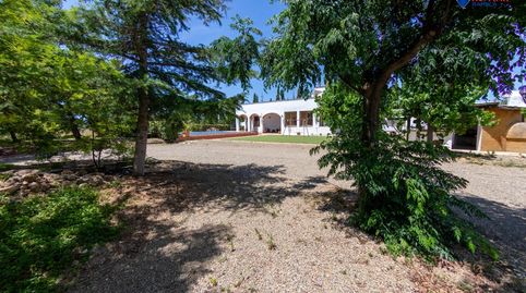 Foto 5 de Finca rústica en venta en Montbrió del Camp, Tarragona