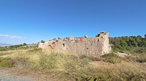 TERRENO RUSTICO CON CASA EN EL CONSEJERO DE 254.000 m2  REF 346