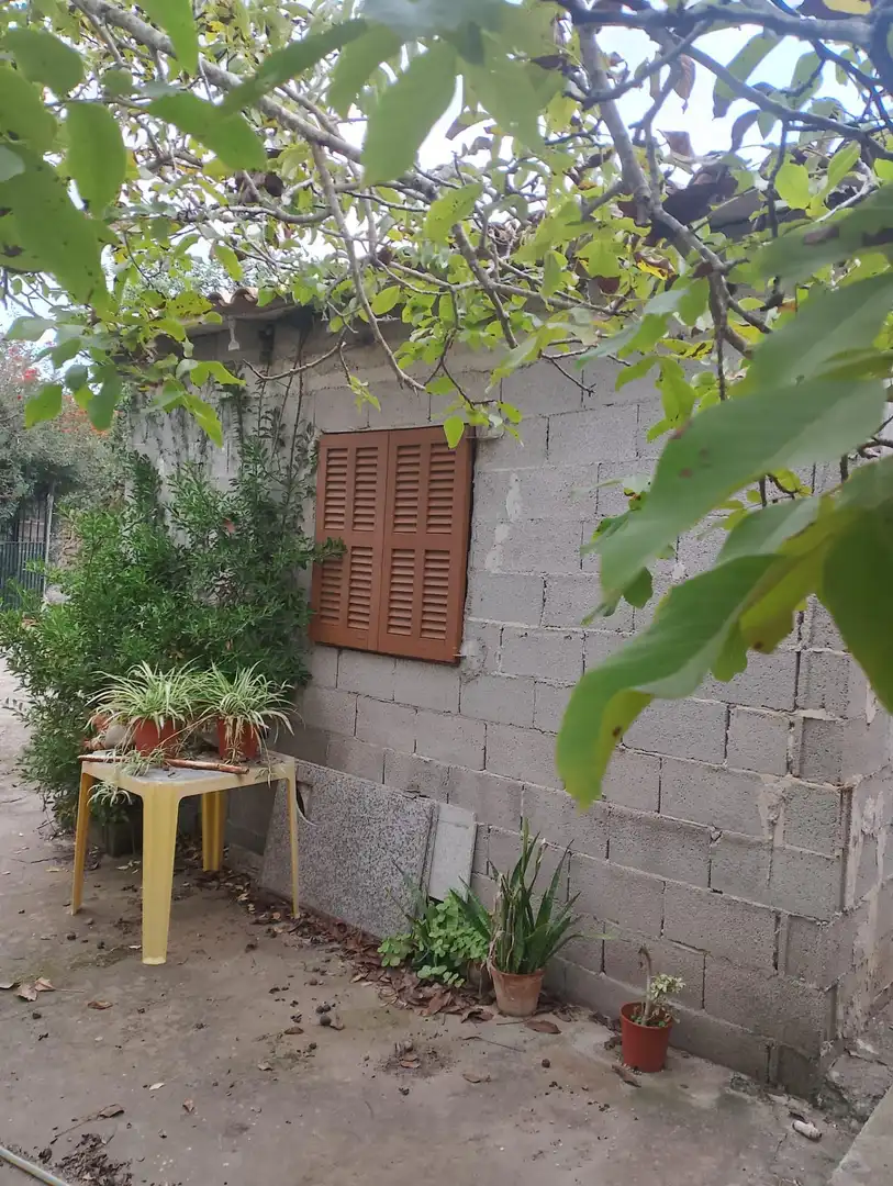 Vista exterior de Casa o chalet en venta en Felanitx