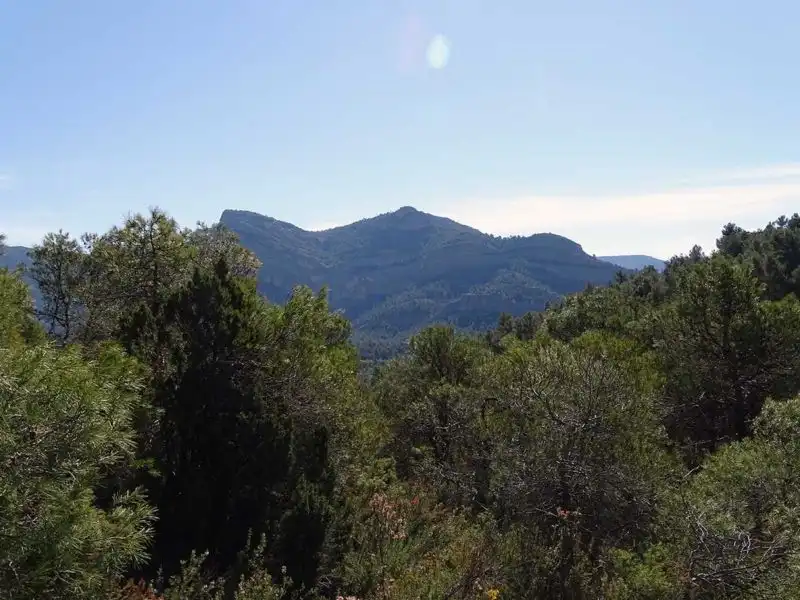 Vista exterior de Finca rústica en venta en Beceite