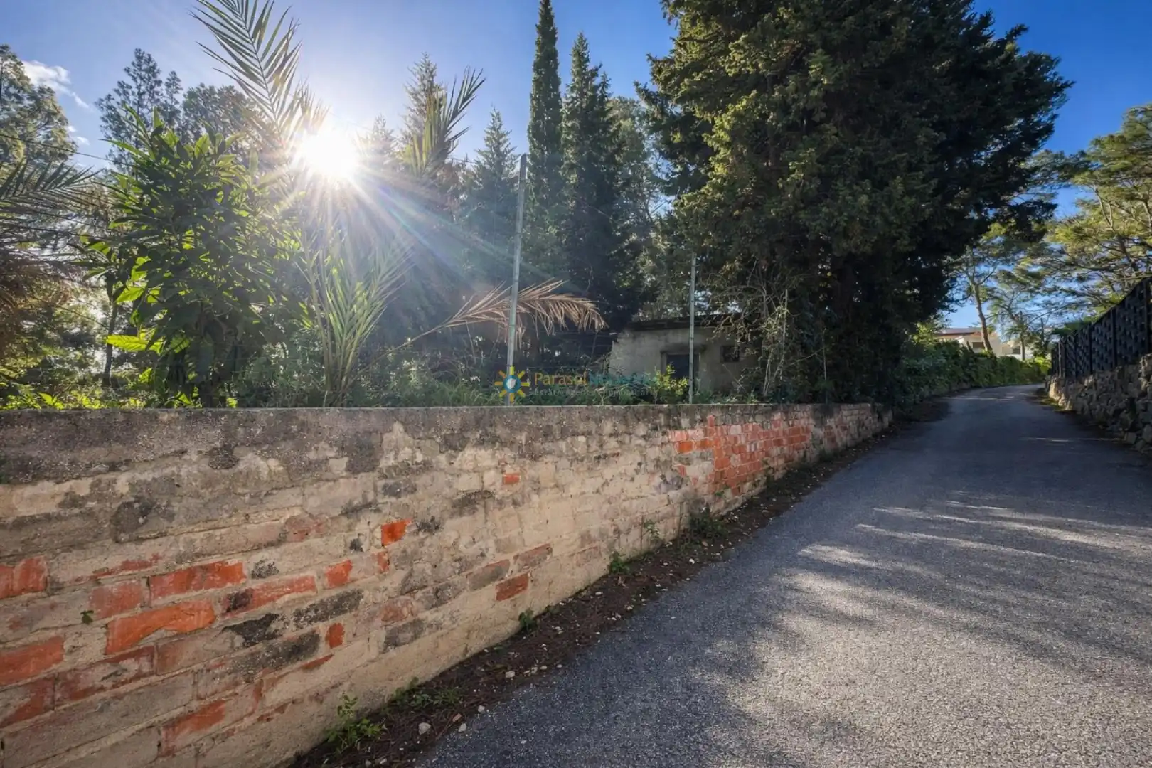 Vista exterior de Finca rústica en venda en L'Olleria amb Terrassa