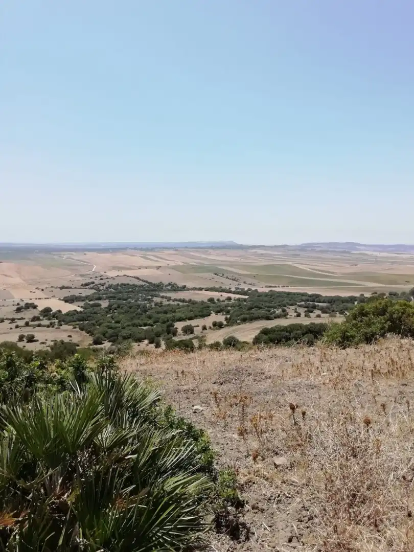 Casa rústica en venda a Medina Sidonia, imagen 5