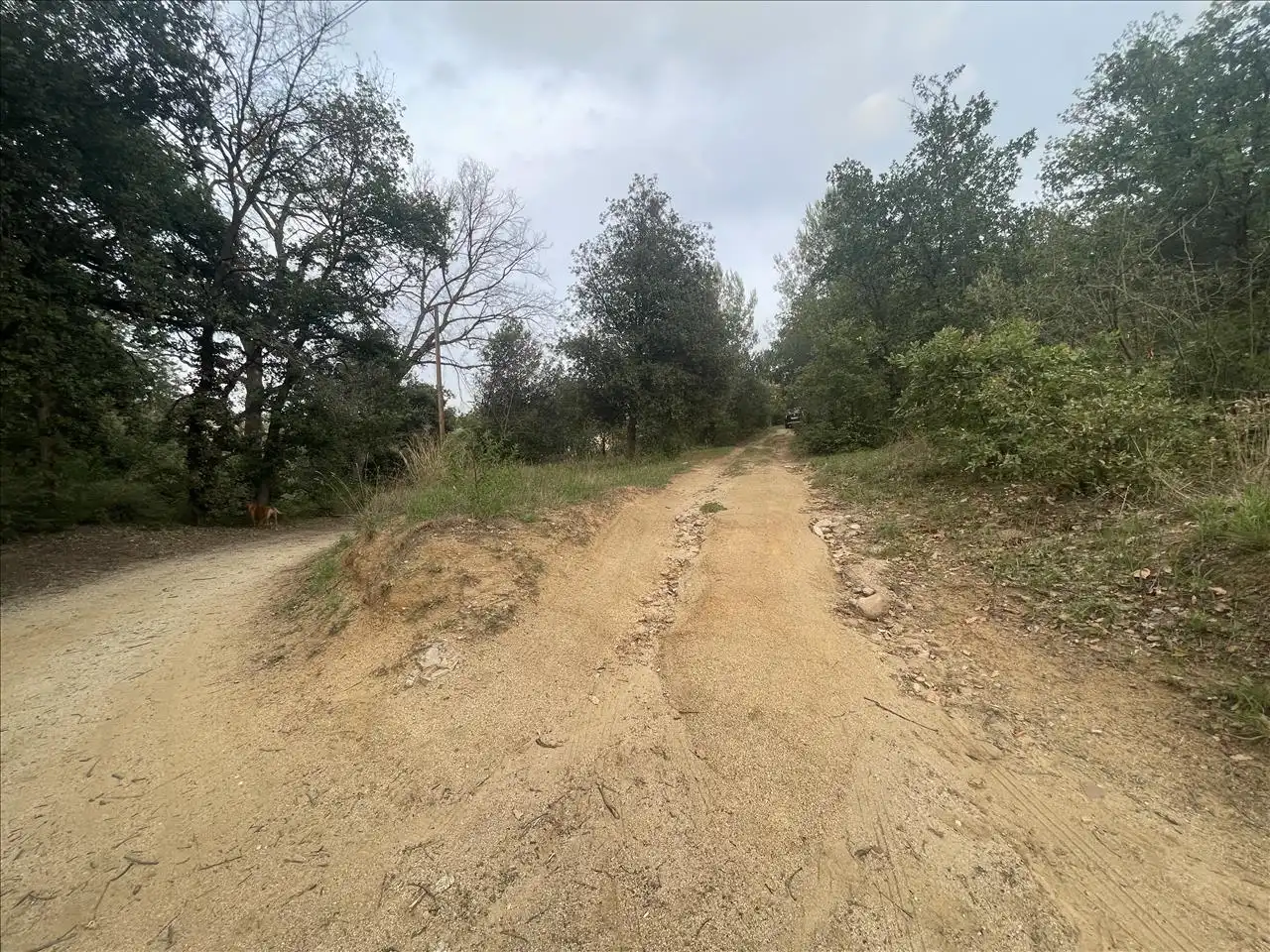 Wohnbaugrundstück zum Verkauf in PLA DE PALOU, imagen 8