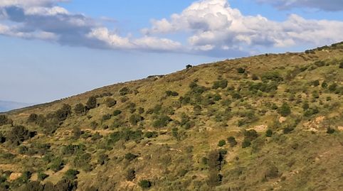 Terreno en Bayarque, imagen 2