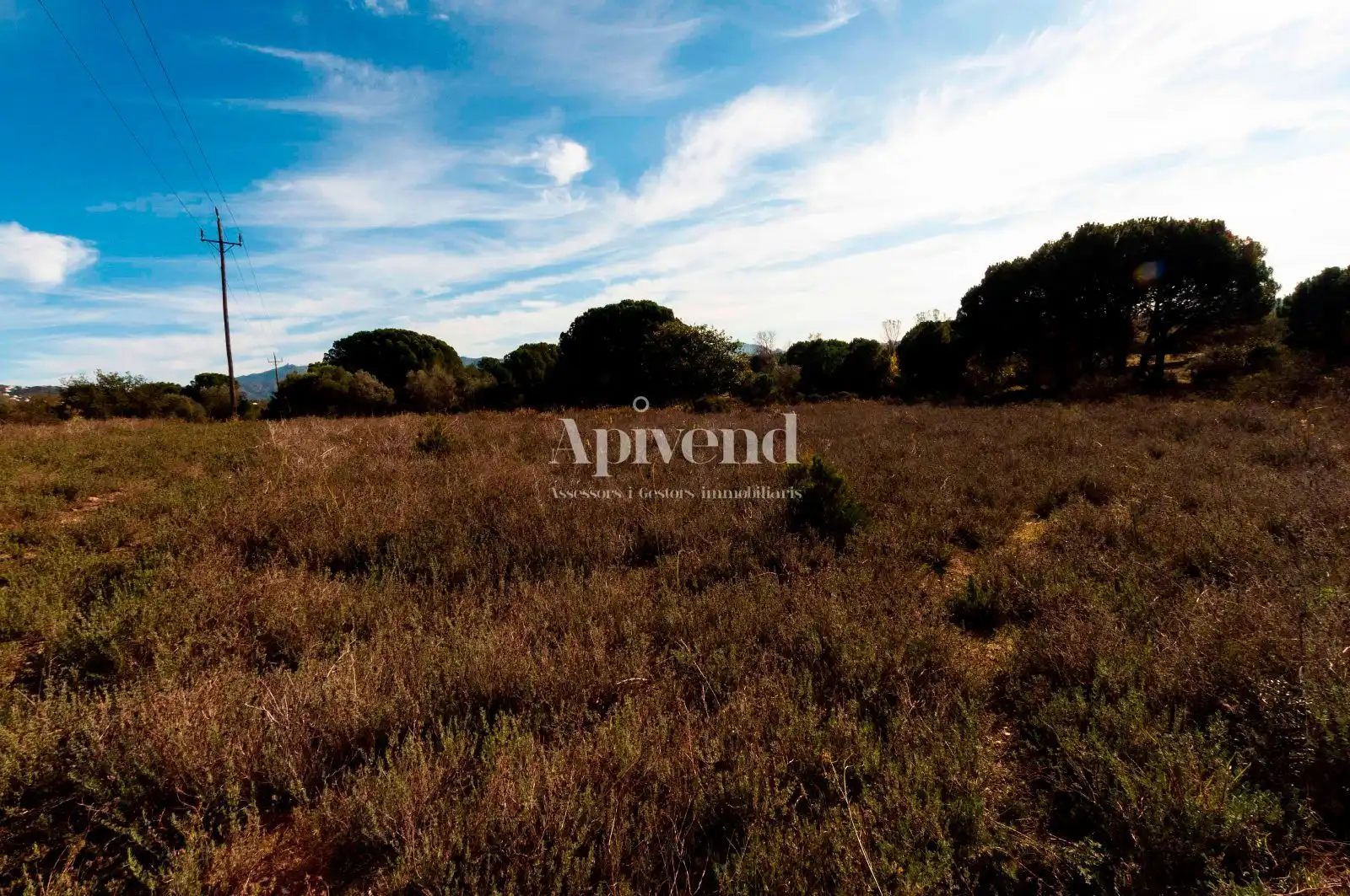 Rural land for sale in Molí de Vent, imagen 12