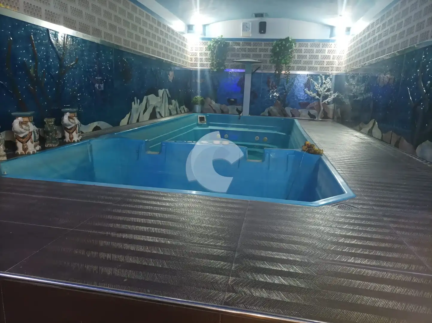 Piscina de Casa adosada en venta en Ourense Capital 