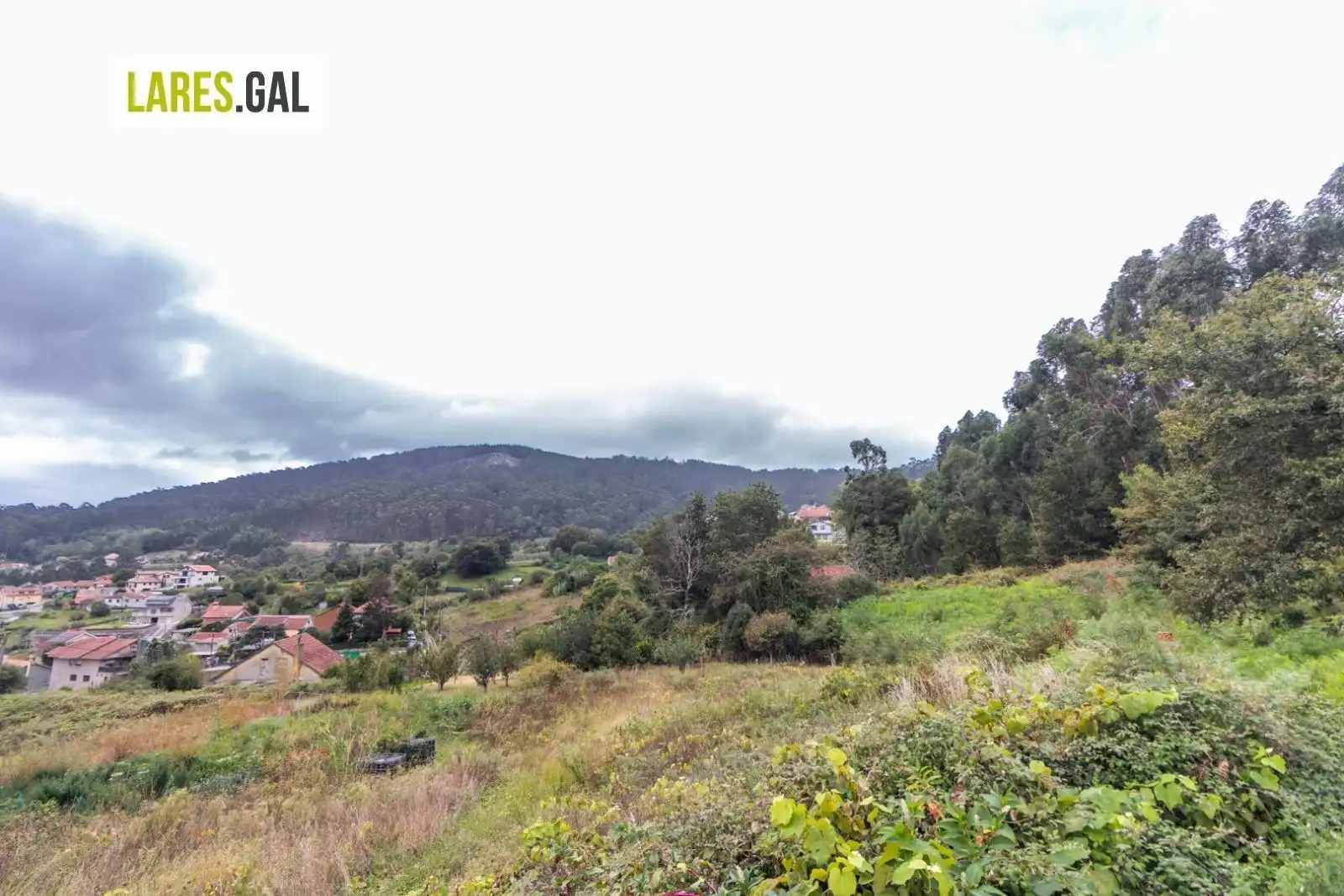 Terrain rustique à vendre à Paradela, imagen 21