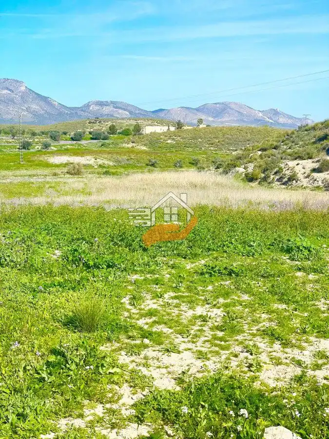 Lands and plots for sale in Pedanías Norte, imagen 11