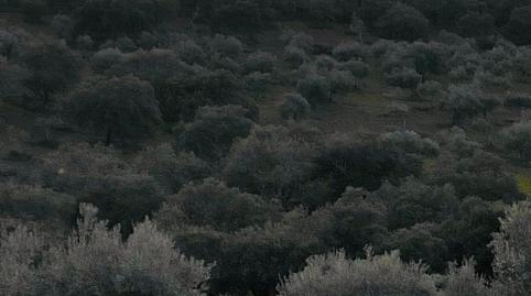 Photo 3 of Residential for sale in Badajoz, Aljucén, Badajoz