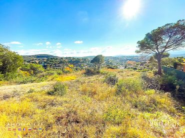 Terrenys i solars en venda a Pi