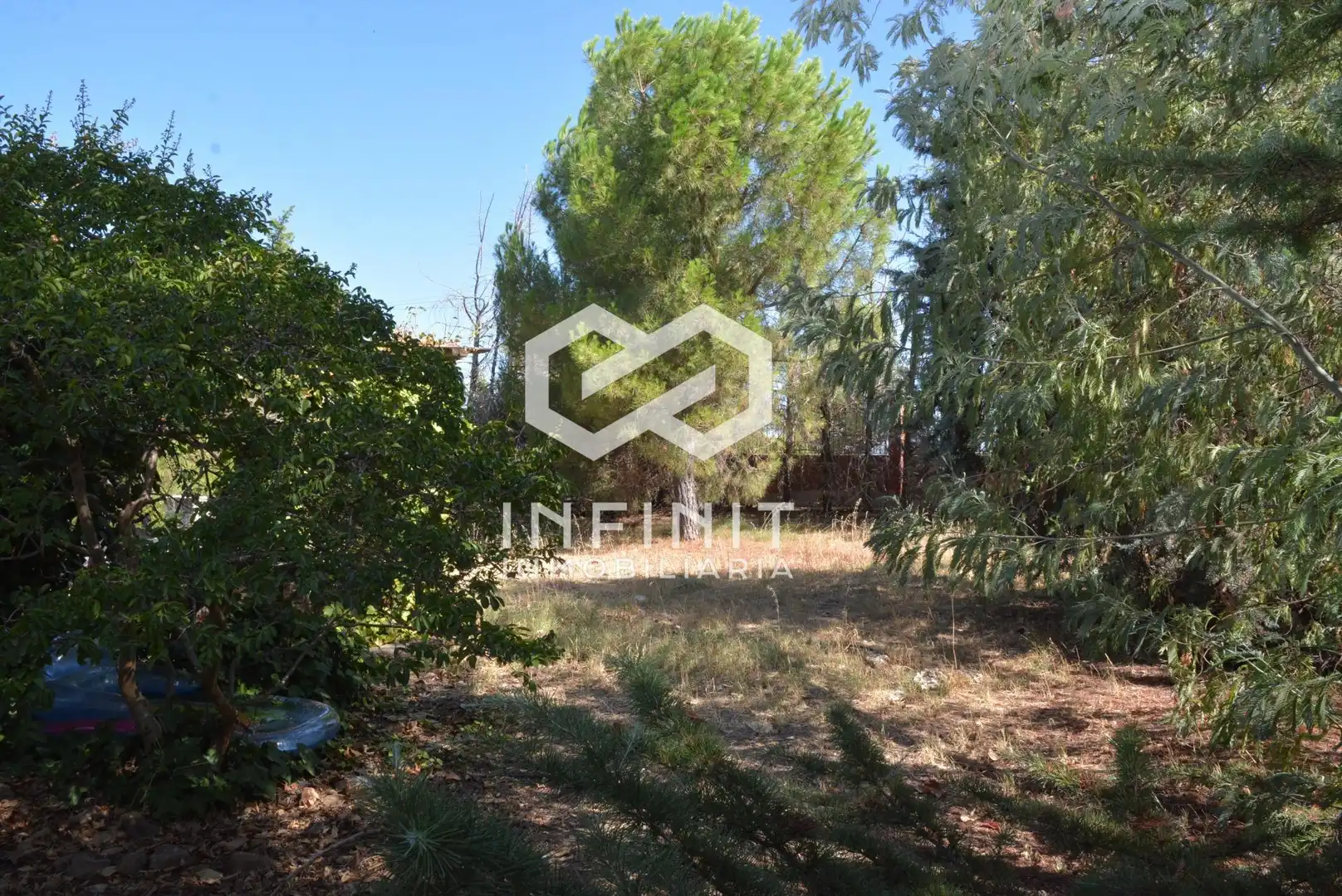 Casa o chalet en venta en Ribatejada