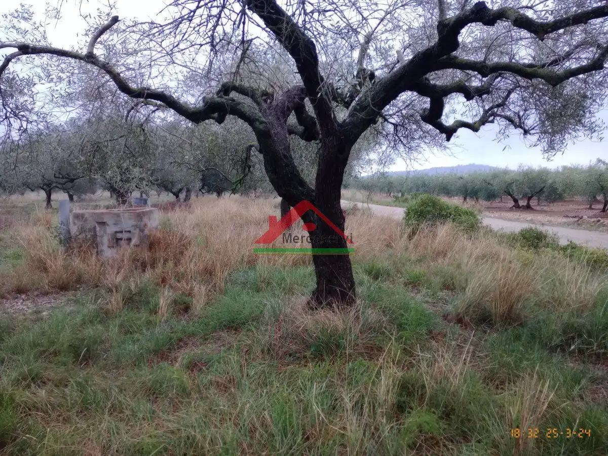 Finca rústica en venta en Vinaròs