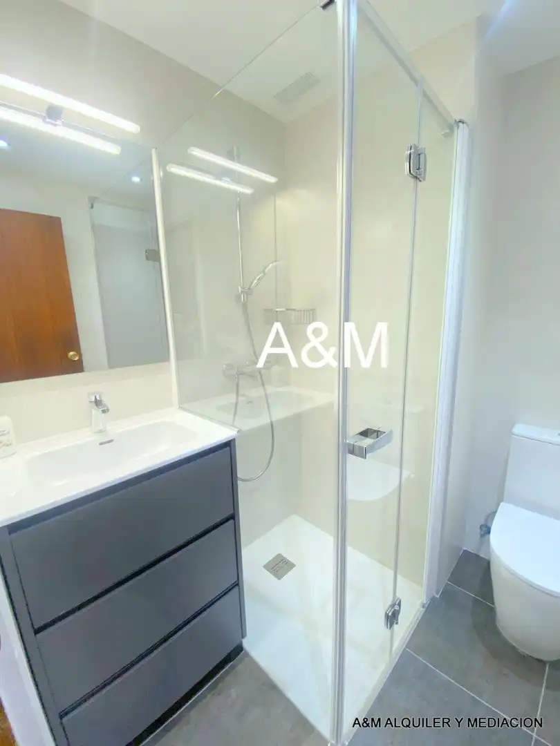 Bathroom of Flat for rent in Vitoria - Gasteiz  with Heating, Parquet flooring and Terrace