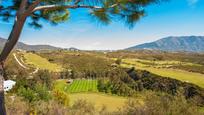 Vista exterior de Apartament en venda en Mijas amb Aire condicionat, Calefacció i Terrassa