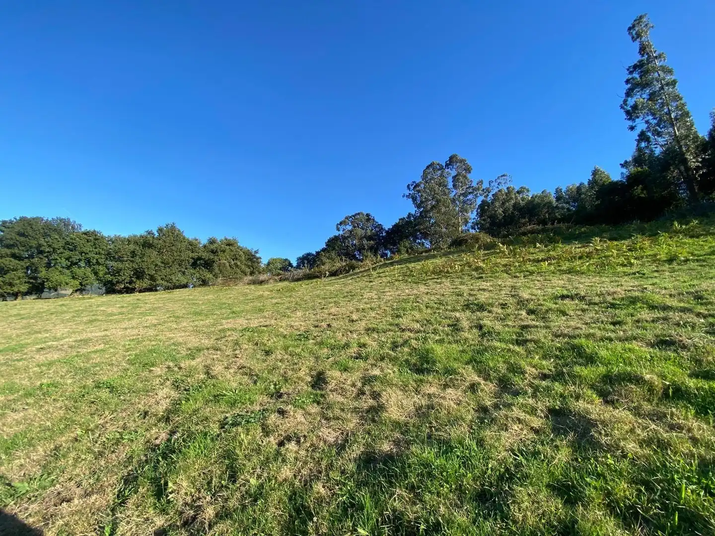 Rural land for sale in Barrio Aes, imagen 19