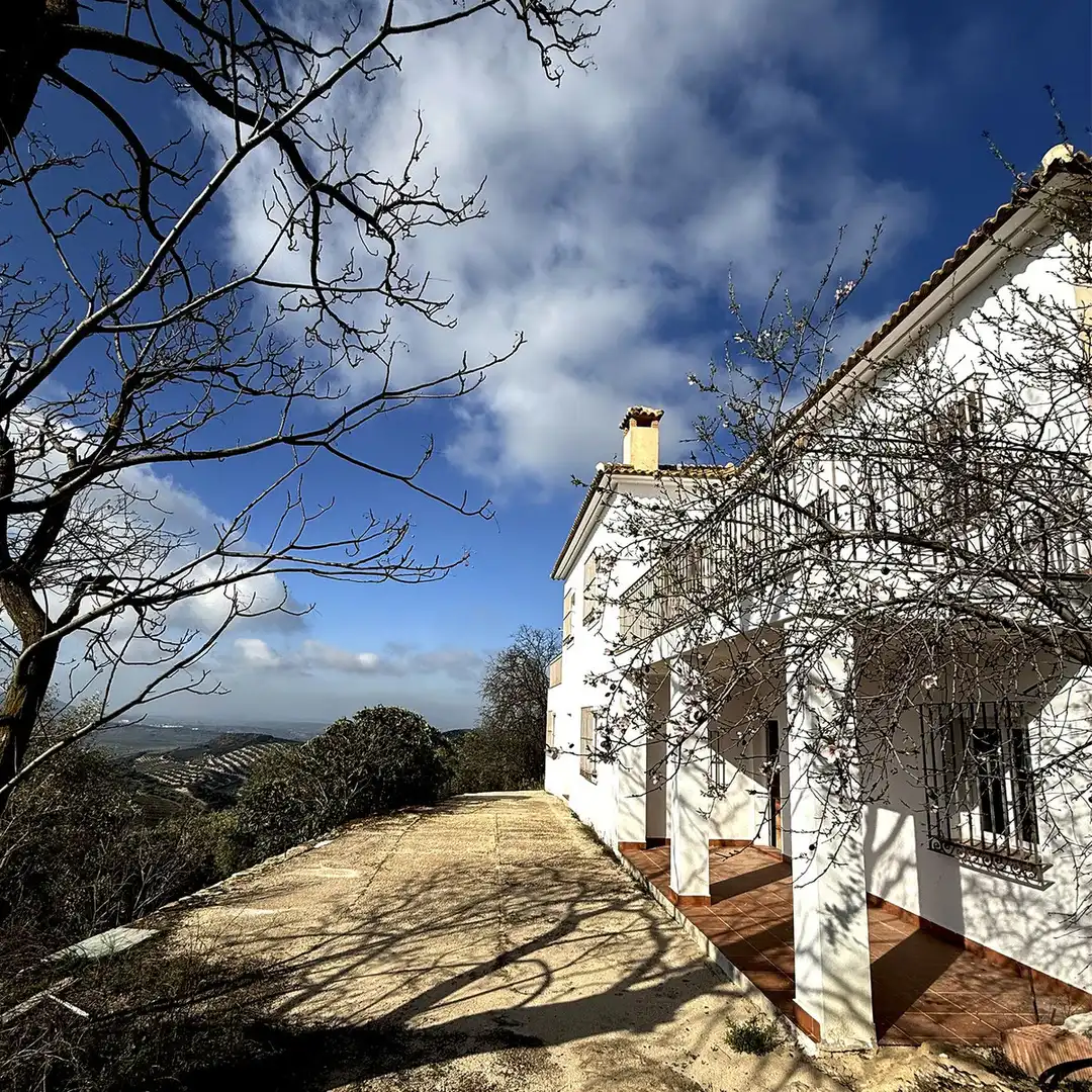 Vista exterior de Casa o chalet en venta en Villanueva de Algaidas con Jardín privado y Terraza