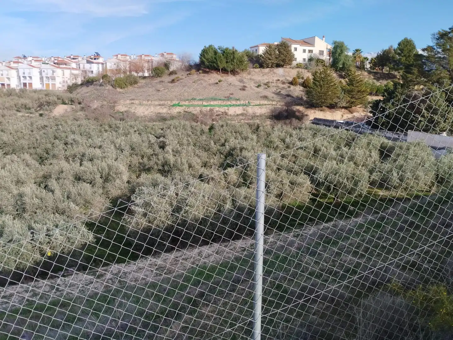 Terreno rustico in vendita a Urbanizacion PAGO VIÑA DEL REY, imagen 16
