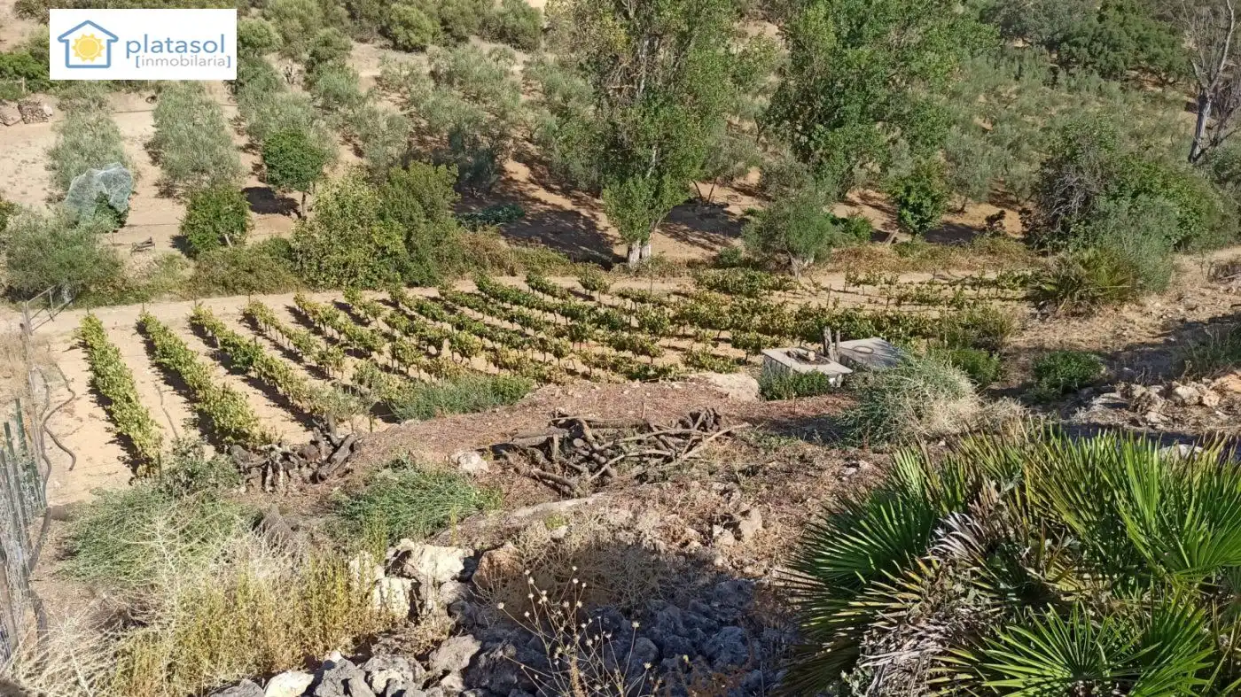 Terreni e lotti in vendita a de la Piedra Caballera, imagen 17
