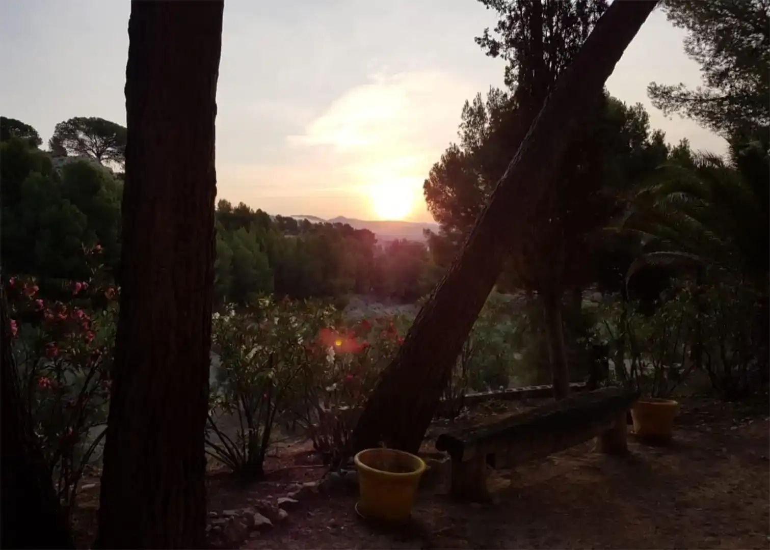 Jardí de Finca rústica en venda en Onil amb Piscina i Balcó