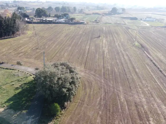 Rural land for sale in Partida Boixadors 160, imagen 6