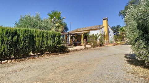 Photo 3 of Houses for sale in Adamuz, Córdoba