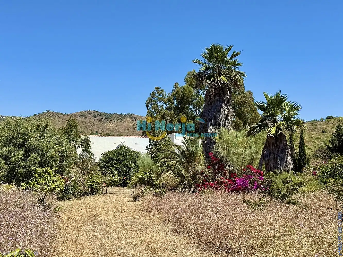 Finca rústica en venta en Vélez-Málaga