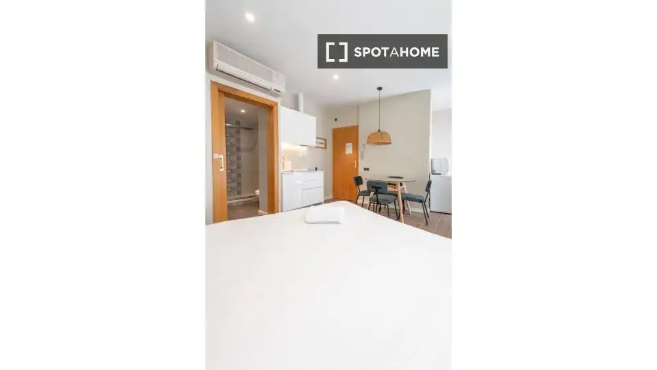 Appartamento con terrazza in affitto a Ciutat Vella, imagen 14