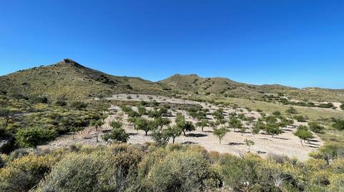 Foto 4 de Finca rústica en venda a Los Puertos, Murcia