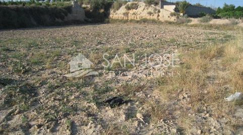 Foto 5 de Casa o chalet en venta en Novelda, Alicante