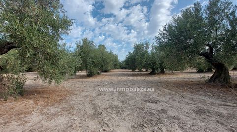 Finca Rúst. en venta en Rus.