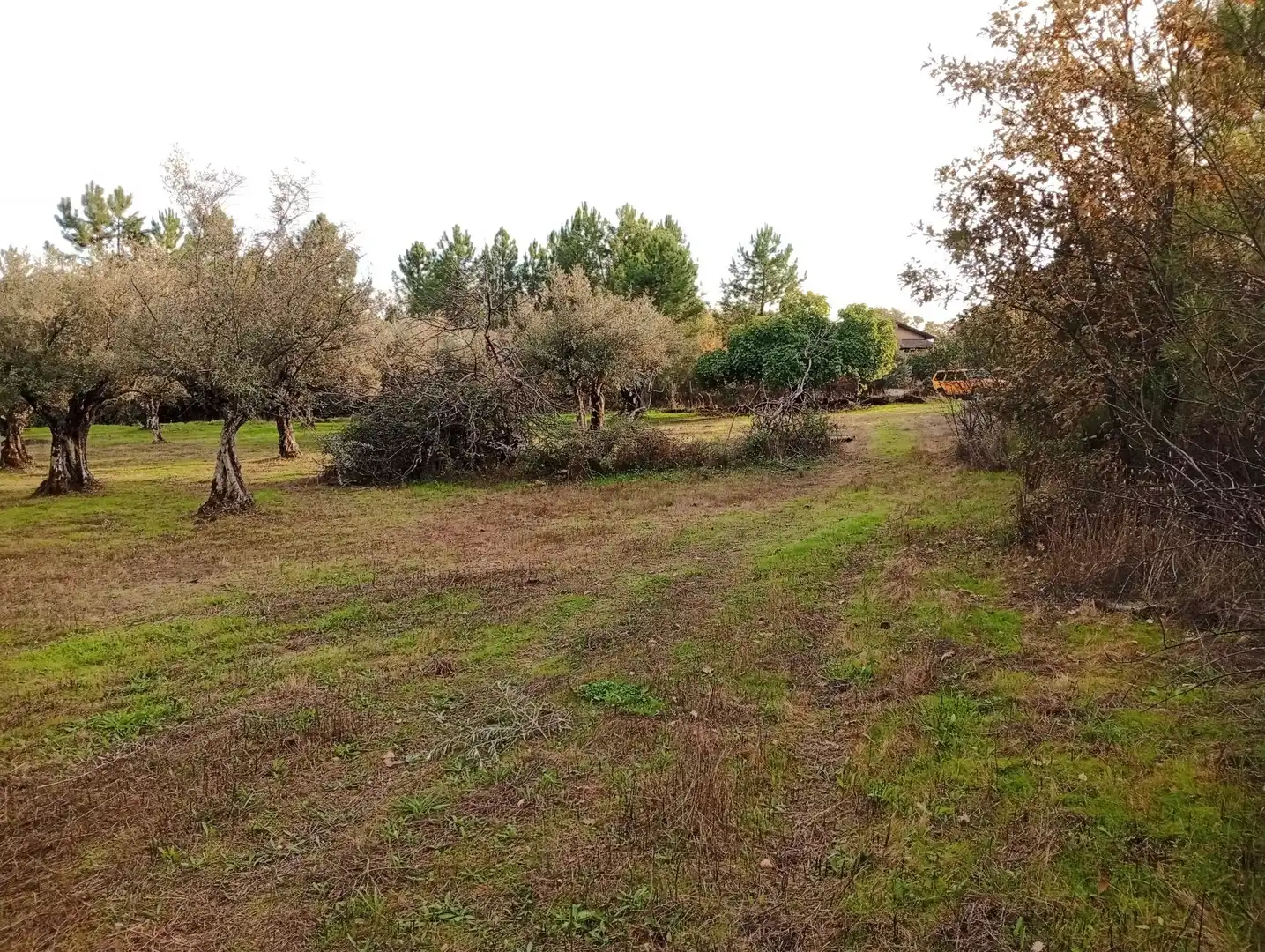Terreni e lotti in vendita a Villanueva de la Vera, imagen 22