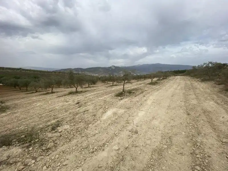 Casa rústica en venda a Padul, imagen 17