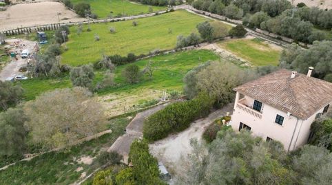 Finca de 15.000 m2 y casa. proyecto piscina, imatge 4