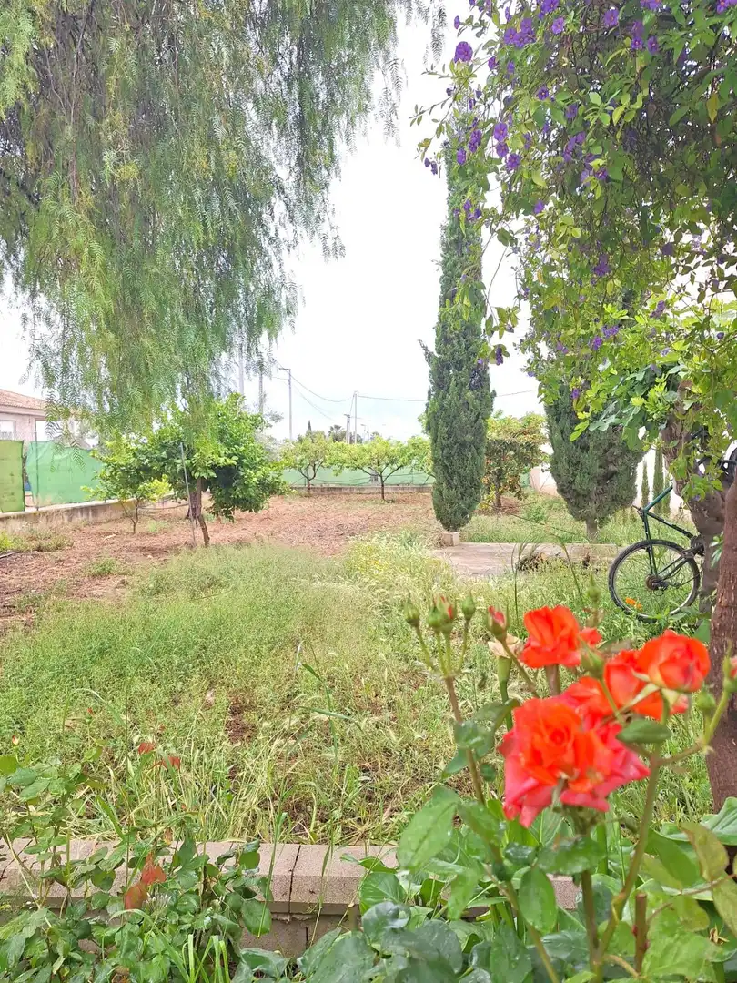 Country homes for sale in Sangonera la Seca