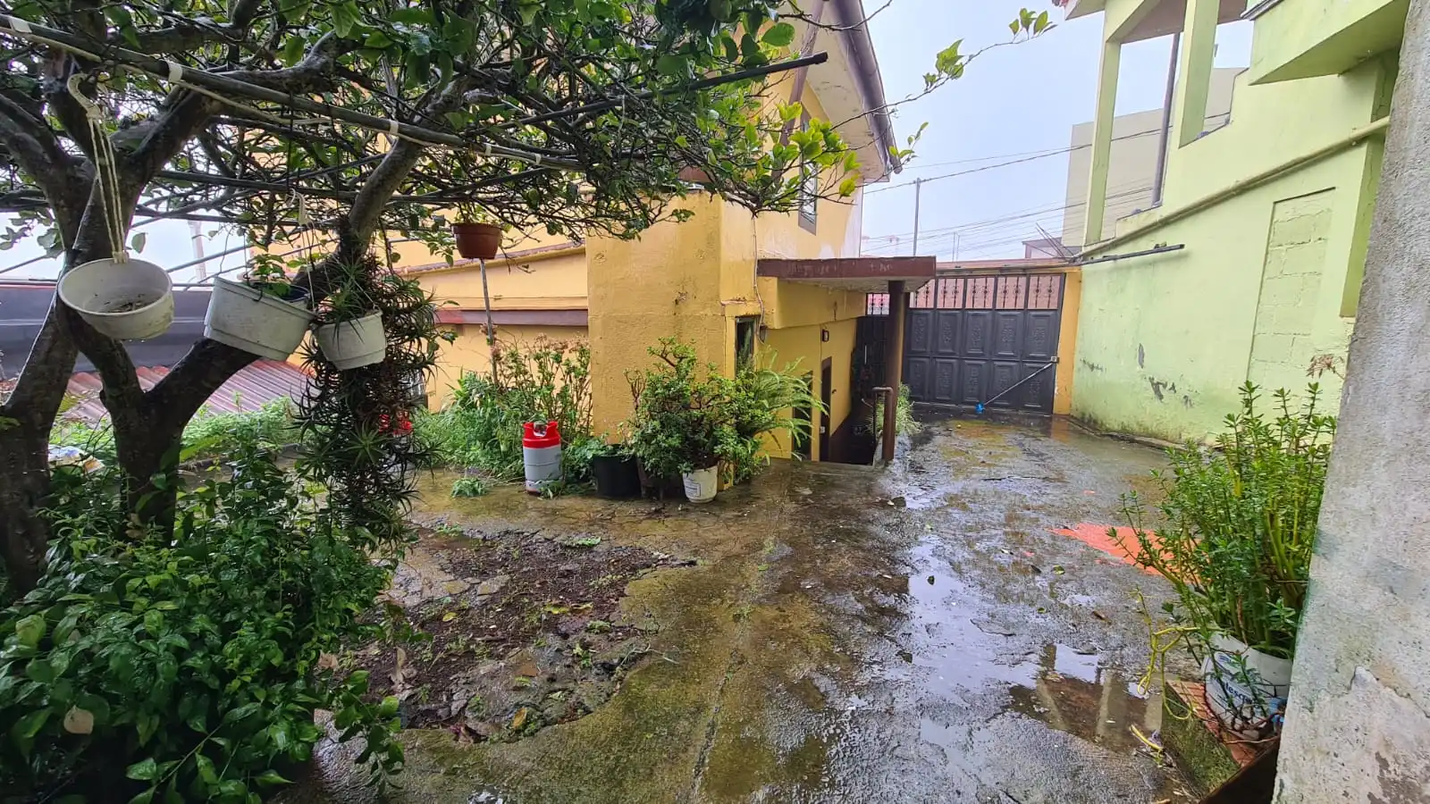 Landhaus zum Verkauf in Calle de Elías Bacallado Hernández, imagen 13