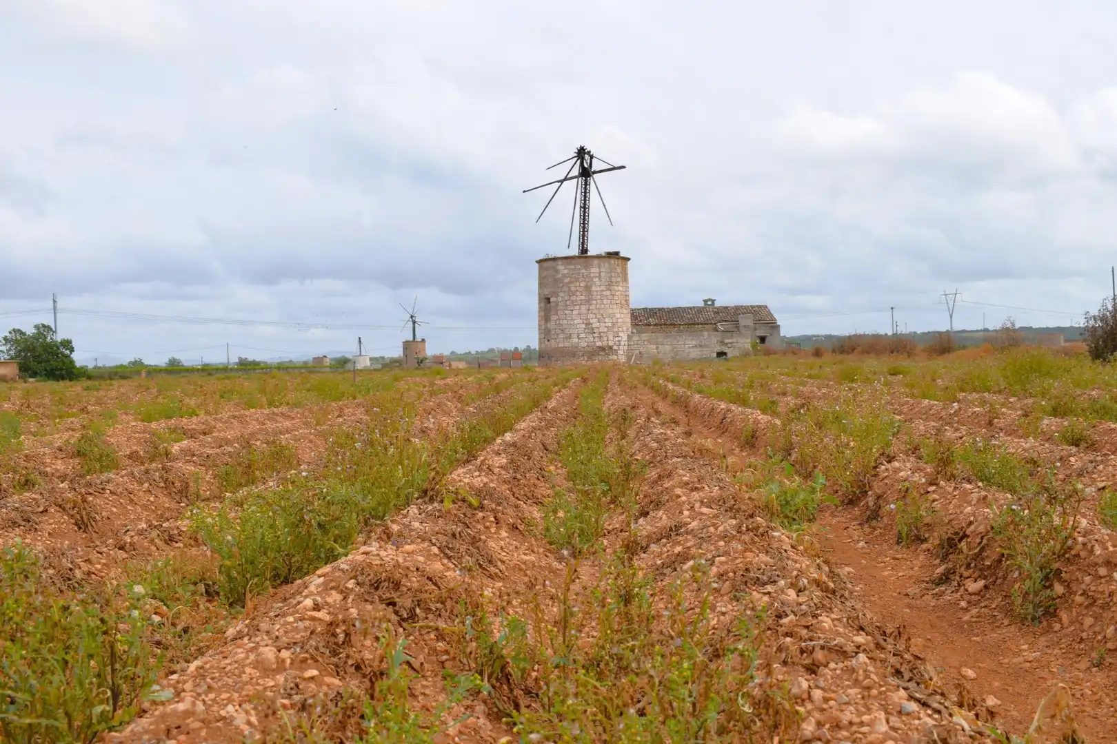Finca rústica en venta en Sa Pobla con Jardín privado