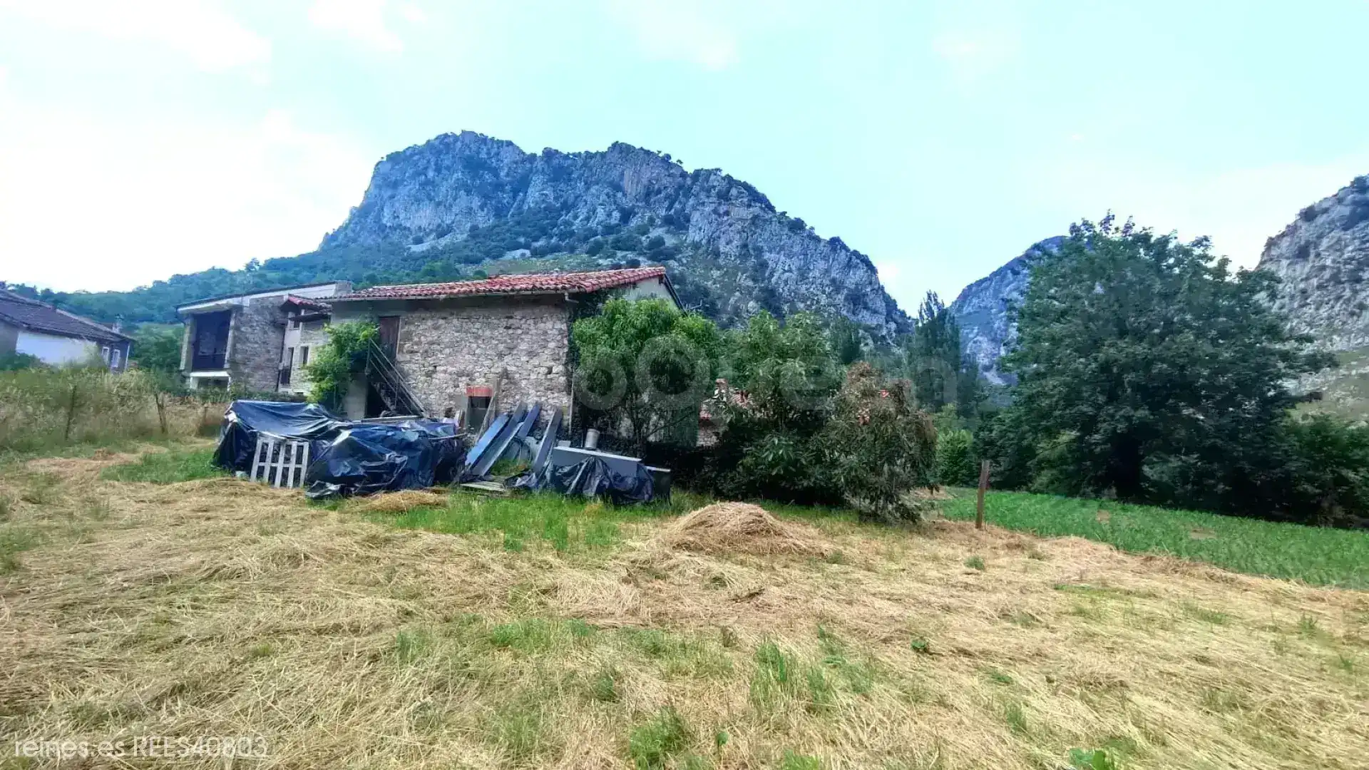 Finca rústica en venta en Peñamellera Alta con Jardín privado