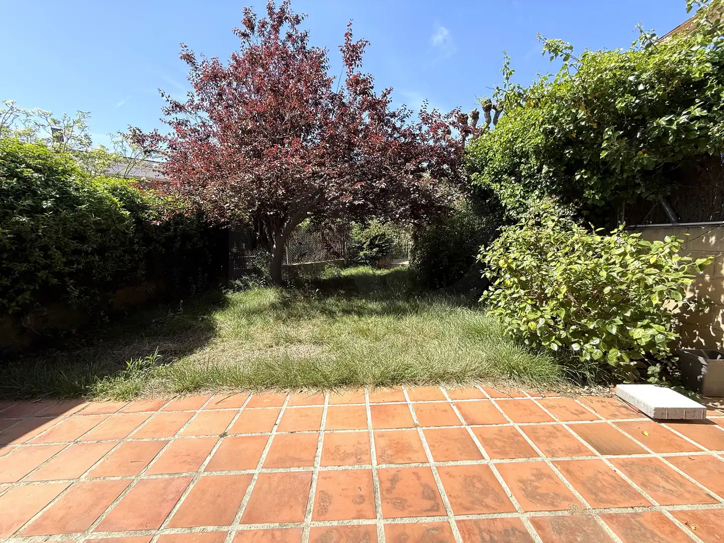 Jardí de Casa o xalet en venda en Sant Andreu de Llavaneres amb Aire condicionat, Calefacció i Terrassa