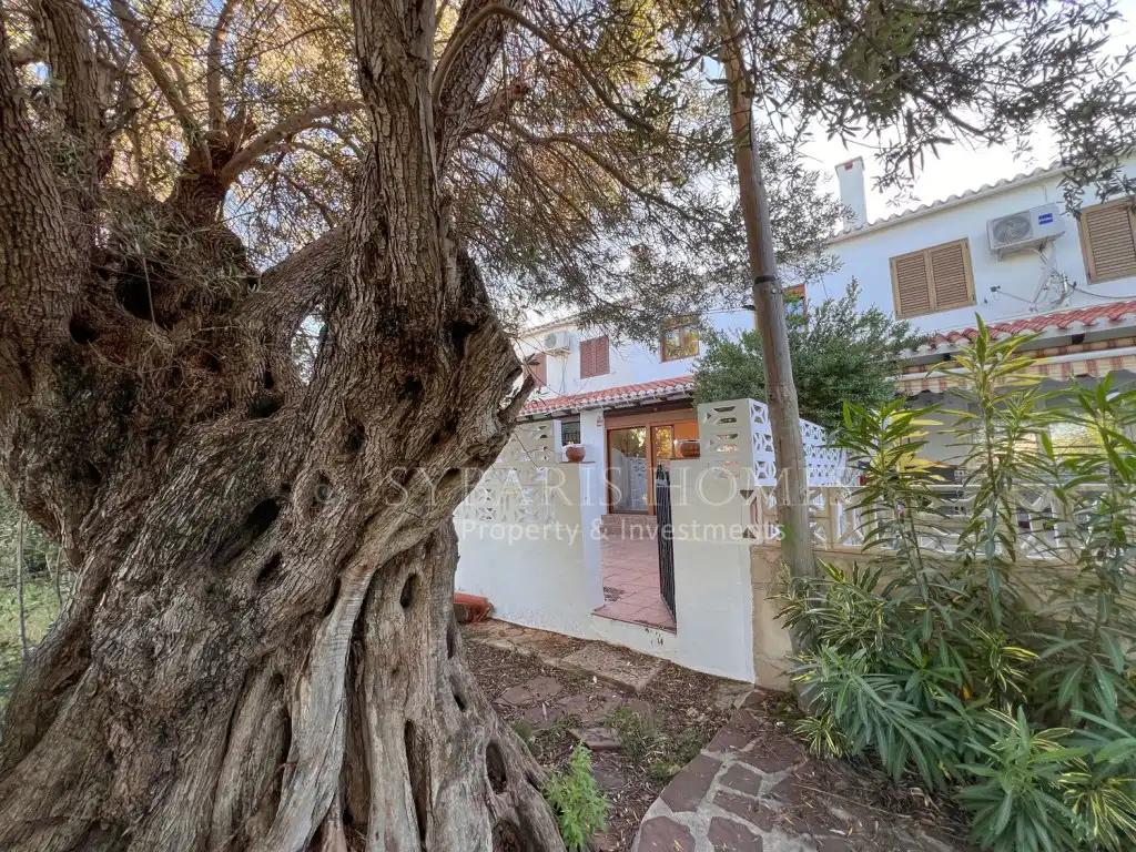 Garden of Detached homes for sale in Dénia