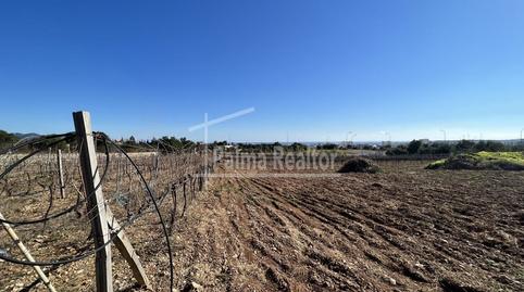 Photo 3 of Residential for sale in Son Servera Poble, Illes Balears