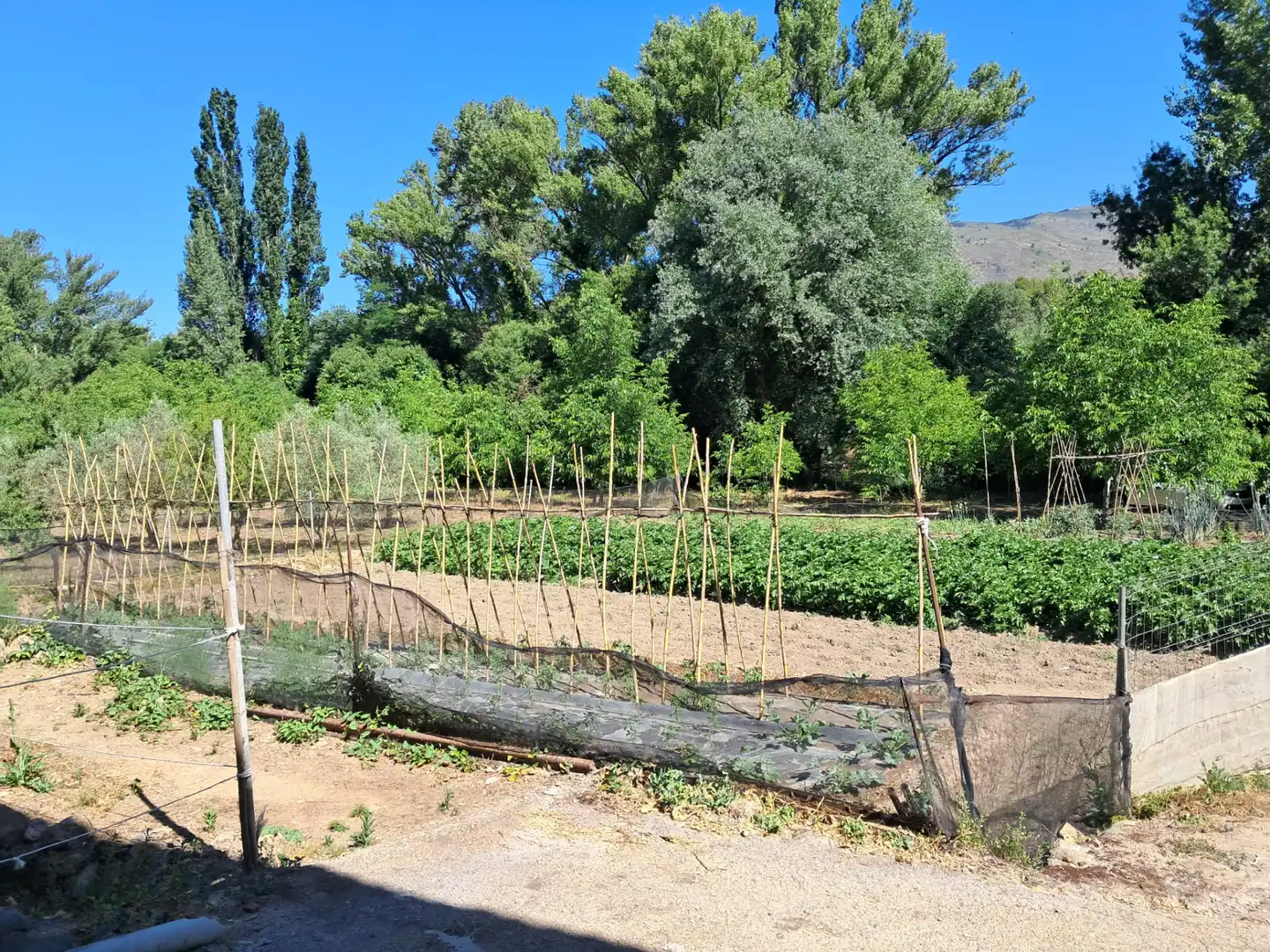 Country house for sale in Fondón, imagen 15