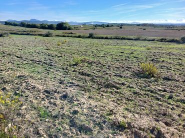 Terreno rustico in vendita a N/A